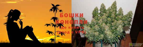 каннабис Болотное