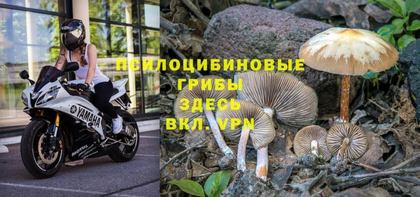 первитин Надым