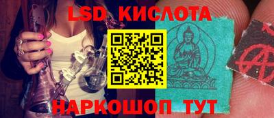 гидропоника Заводоуковск
