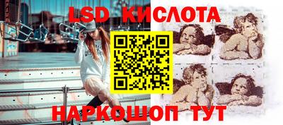 гидропоника Заводоуковск