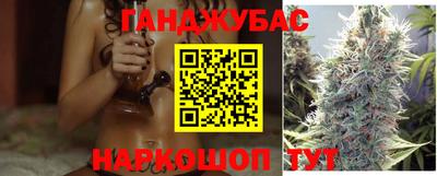 гашик Бийск