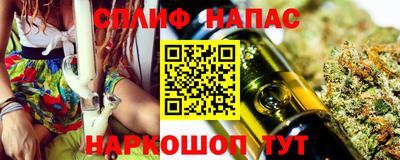 гашик Бийск