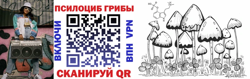 Псилоцибиновые грибы GOLDEN TEACHER  Майкоп 