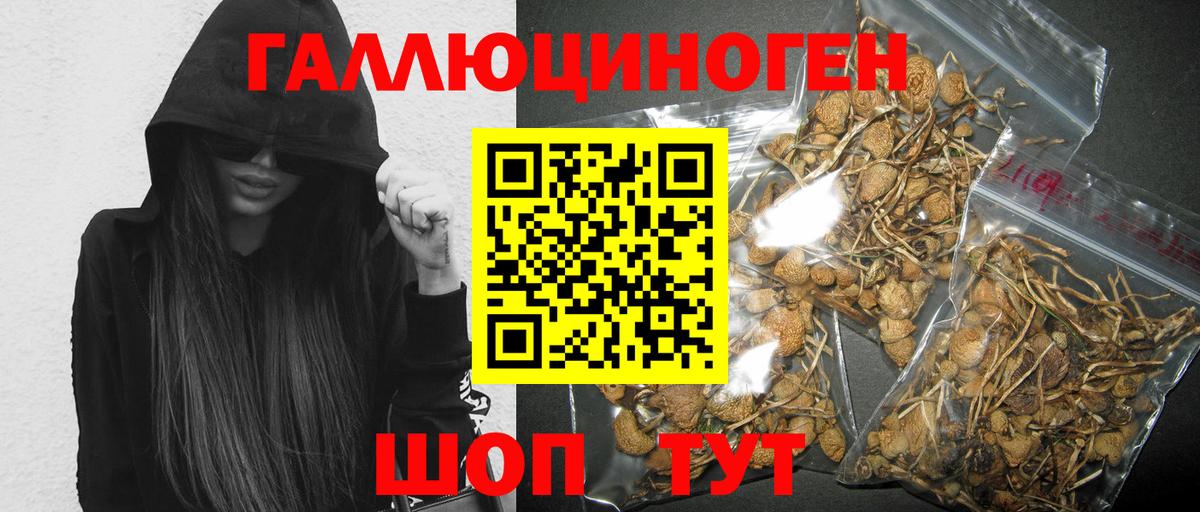 Псилоцибиновые грибы MAGIC MUSHROOMS  Вход с VPN  Майкоп 