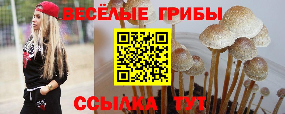 Галлюциногенные грибы мухоморы Майкоп