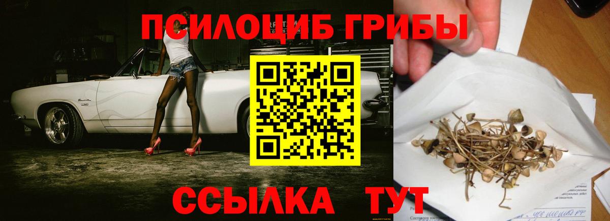 Псилоцибиновые грибы MAGIC MUSHROOMS Майкоп