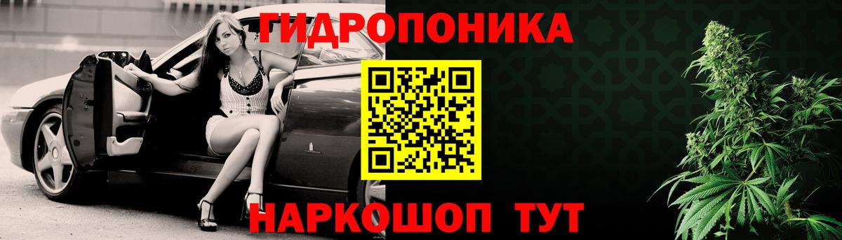 Конопля AK-47  Каннабис тримм  Майкоп  Марихуана план 